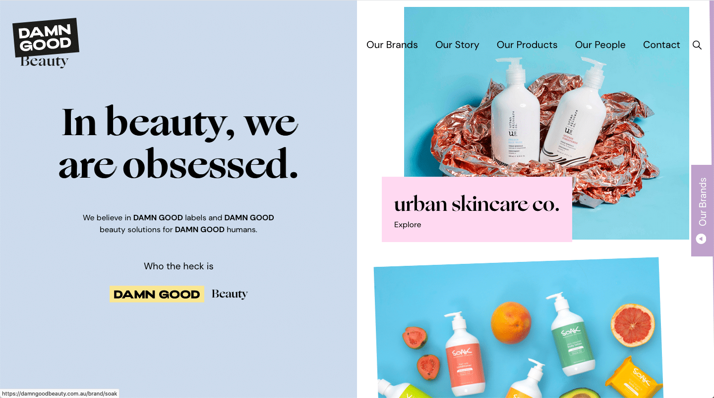 damn good beauty website color schemes examples