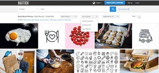 best images for websites bigstock photo gallery food