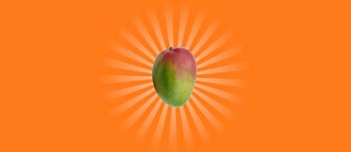 craziest websites republique des mangues