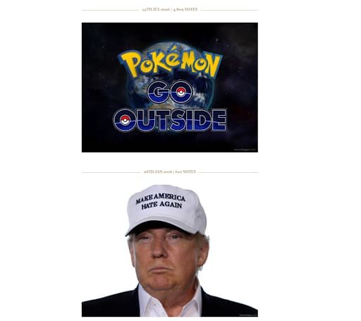 honest slogans funny websites pokemon donald trump