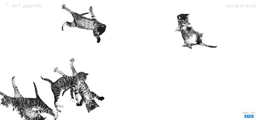 weird websites cat bounce cats