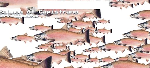 weird websites salmon of capistrano pink