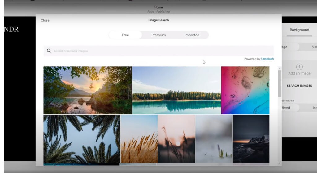 how to build a squarespace website search images