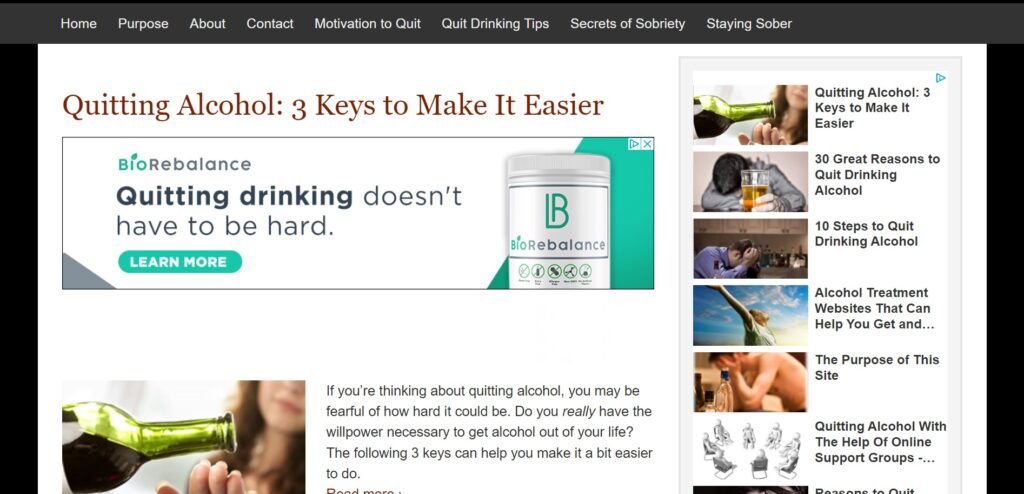 Stop drinking alcohol niche site